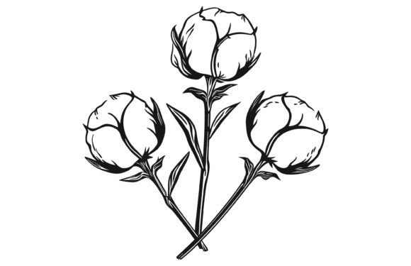 Understanding the Cotton Icon & Cotton Flower Icon for Your Projects